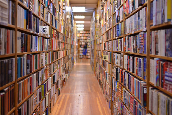 Bookshelves at Russell Books