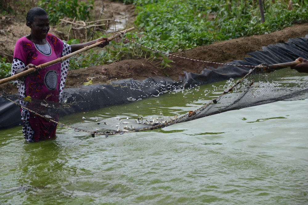 A woman stood in the water fishing in Kenya 