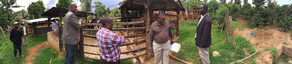 coffee user experience