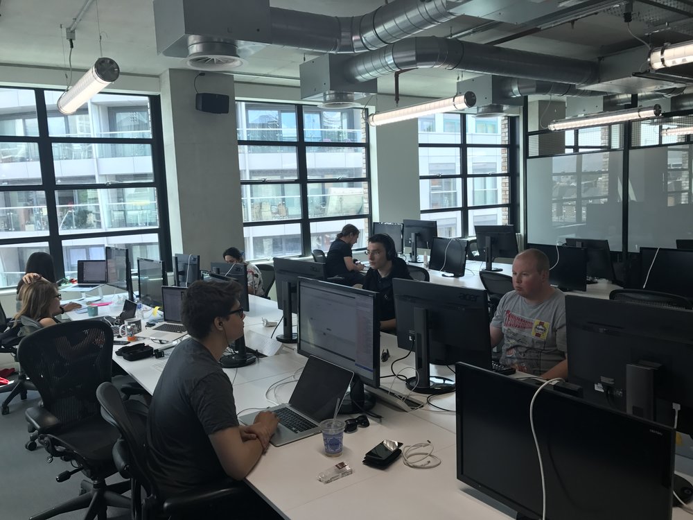 Working badgers