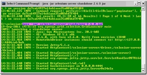 Selenium Standalone Server